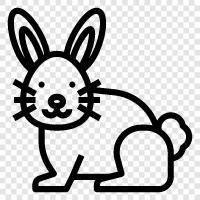 Animal, Pets, House Rabbit, Feral icon svg