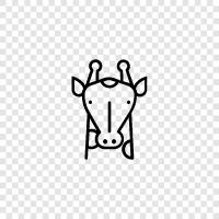 Animal, Animal Habitat, Animal Behavior, Animal Feeding icon svg