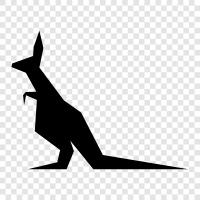 Animal, Australia, Animal Kingdom, Aussie icon svg