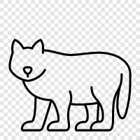 animal, pack, feral, animal protection icon svg