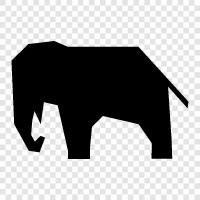 animal, Africa, endangered, magnificent icon svg