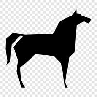 animal, equine, saddle, horseshoe icon svg