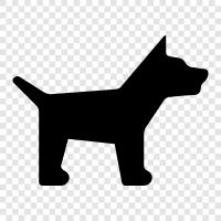 animal, canine, pet, mammal icon svg