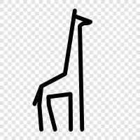 Hayvan, Mammal, Hayvan Krallığı, Giraffe ikon svg