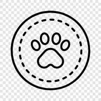 Animal Behavior, Animal Breeding, Animal Communication, Animal Feeding icon svg