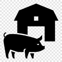 Animal Farm, Farm, Animal Husbandry, Farm Animals icon svg