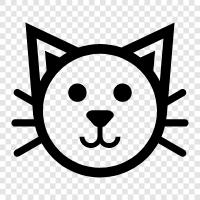 animal, feline, housecat, pet icon svg