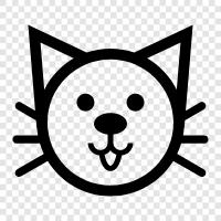 animal, feline, house cat, pet icon svg