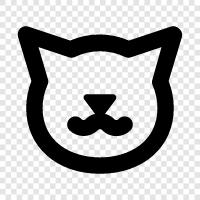 animal, feline, pet, house cat icon svg