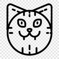 Animal, Feline, House Cat, Pet icon svg