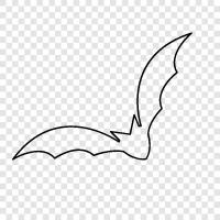 Animal, Flying, Nocturnal, Mammal icon svg