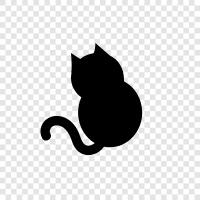 animal, house pet, fluffy, purring icon svg