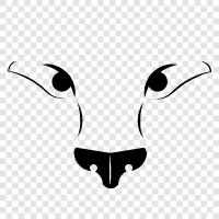 Animal Head, Animal Eyes, Animal Mouth, Animal Teeth icon svg