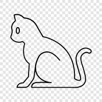 Hayvan, Pet, Kitten, Ragdoll ikon svg