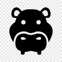 animal, cute, big, animal world icon svg