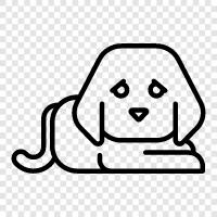 animal, pet, furry, domesticated icon svg