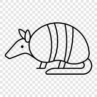 hayvan, mammals, creatures, armadillos ikon svg