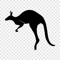 Animal, Animal Behavior, Animal Conservation, Australian icon svg