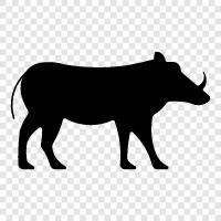 animal, pig, grunting, snorting icon svg