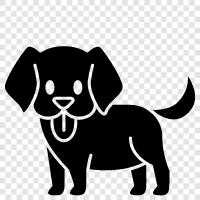 Animal, Pets, Breed, Cute icon svg