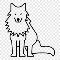 hayvan, tehlike altında, kurt, arctic wolf ikon svg