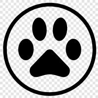 Animal Prints, Animal Paw Prints, Animal Prints Gallery, Animal icon svg