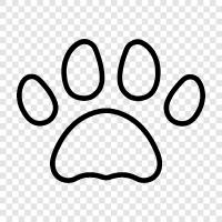 animal prints, animal tracks, animal footprint, animal footprint track icon svg