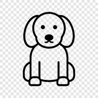 animal, pet, breed, shelter icon svg