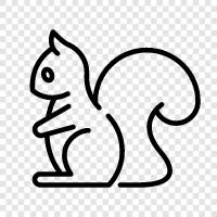 animal, squirrel, Fort Worth, animal shelter icon svg