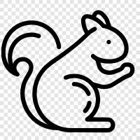 animal, cute, furry, acrobatic icon svg