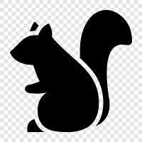 Animal, Animal Behavior, Animal Habitat, Squirrel icon svg