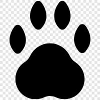 animal tracks, animal print, animal footprinting, animal tracking icon svg