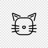 animals, feline, felines, house pets icon svg