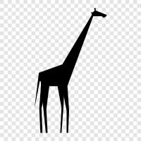 animals, Africa, tall, long neck icon svg