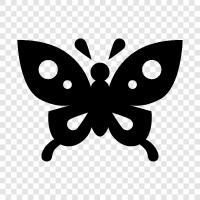 animals, beautiful, butterfly gardens, butterfly houses icon svg