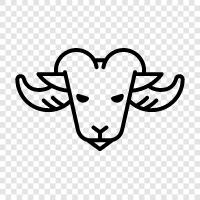 animals, farming, meat, milk icon svg