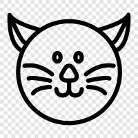 animals, house, scratching post, litter icon svg