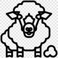 animals, farming, wool, fleece icon svg