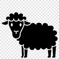 animals, farm, lamb, wool icon svg