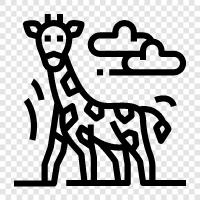 animals, animal, African, tall icon svg