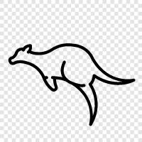 animals, marsupials, Australia, native icon svg