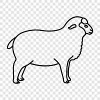 animals, farming, wool, meat icon svg