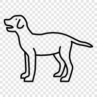 animals, pet, breeds, house icon svg