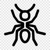 ant colony, ant farm, ant hill, ant larvae icon svg