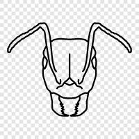 ant colony, ant farm, ant farm simulator, ant farming icon svg