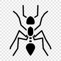 Ant colony, Ant farm, Ants, Ants on a tree icon svg