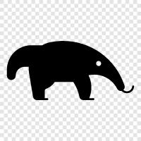 anteater, Ant icon svg