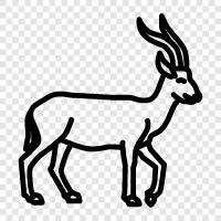 antelope, animal, African, big icon svg