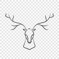 Antler, Bow, Bucks, Calves icon svg