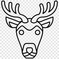 Antler, Cattle, Elk, Hunting icon svg